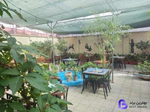 تصویر کافه موزه گربه ایرانی