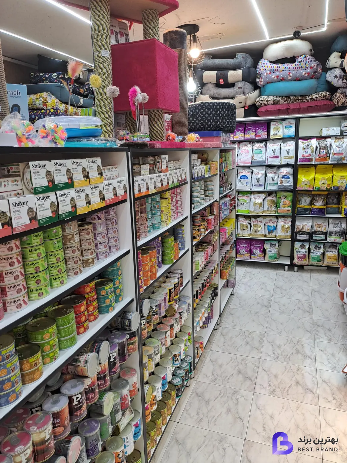 تصویر 1 از کلبه حیوانات دروس