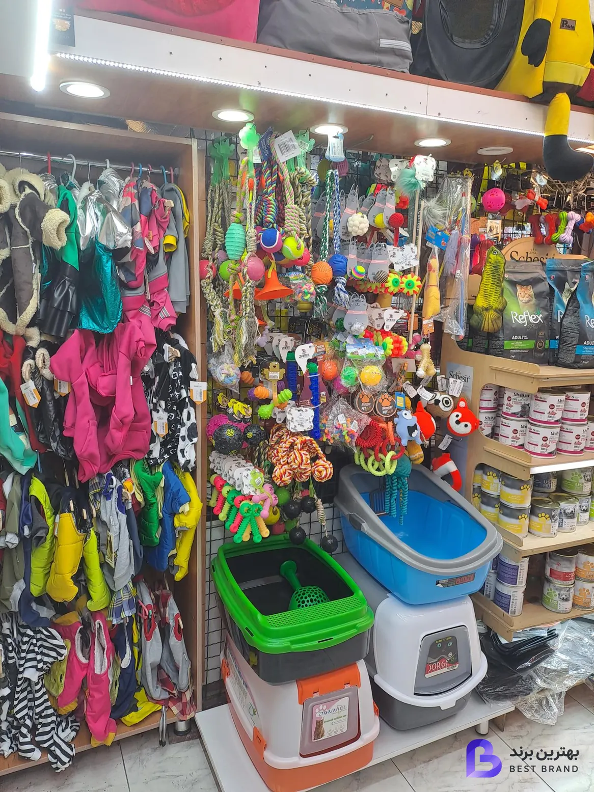 تصویر 2 از کلبه حیوانات دروس