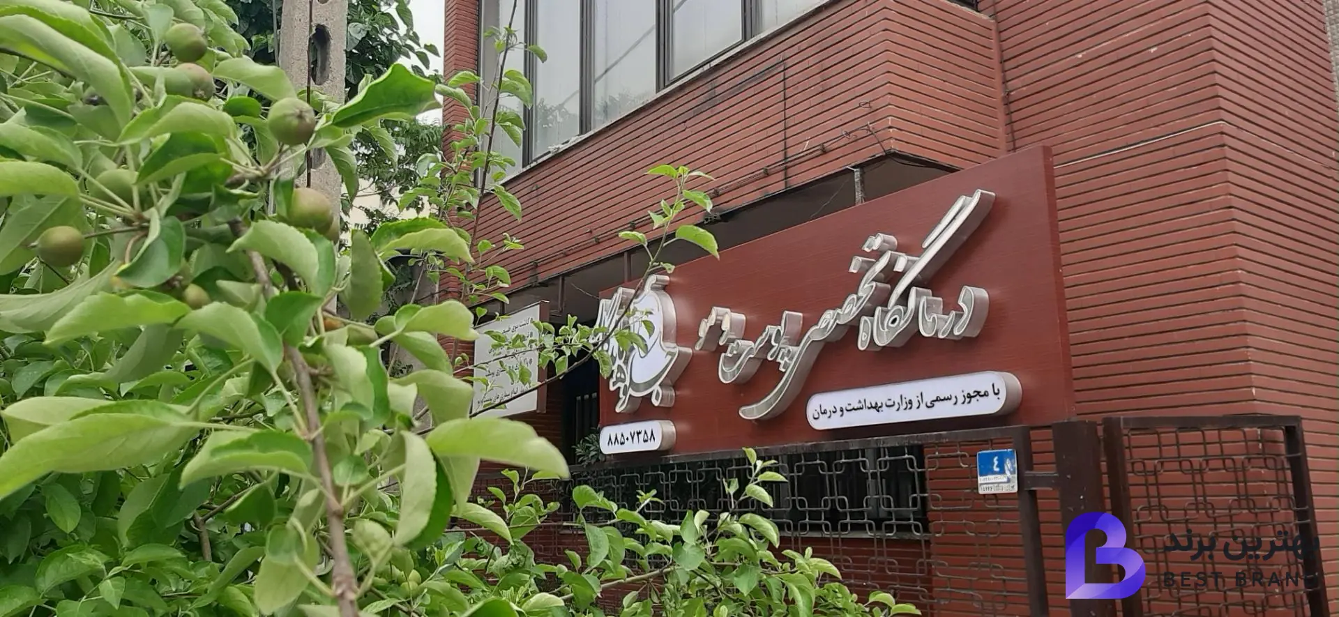 تصویر کلینیک تخصصی کاشت مو جلوه ماندگار