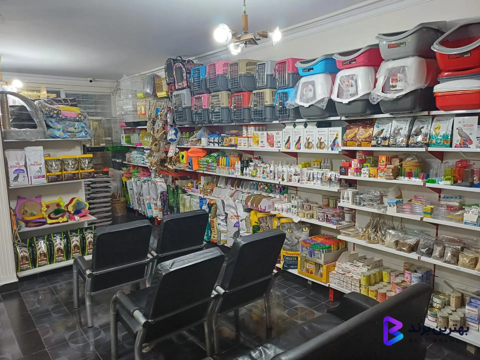 تصویر 3 از کلینیک دامپزشکی بهین