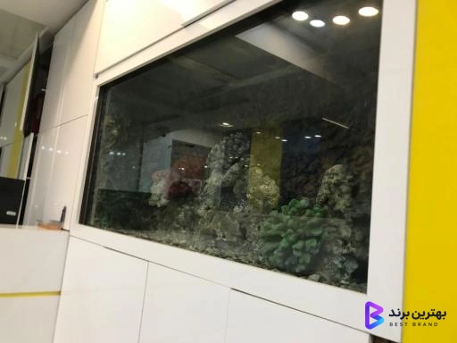 تصویر 3 از کلینیک دندانپزشکی شبانه روزی فروردین غرب تهران