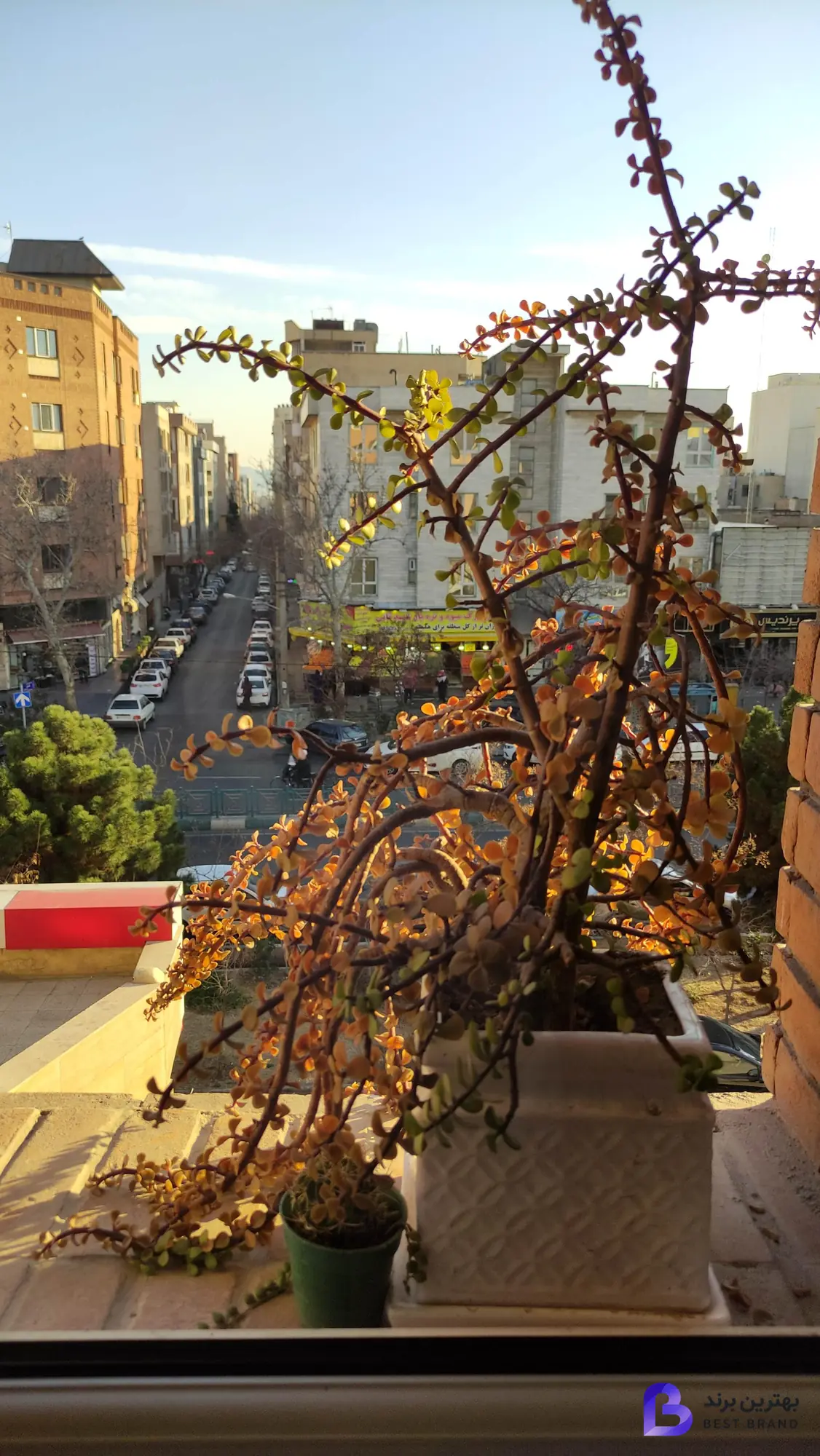 تصویر 2 از کلینیک فیزیوتراپی تسبیح