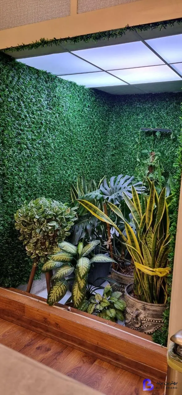 تصویر کلینیک لیزر موژان