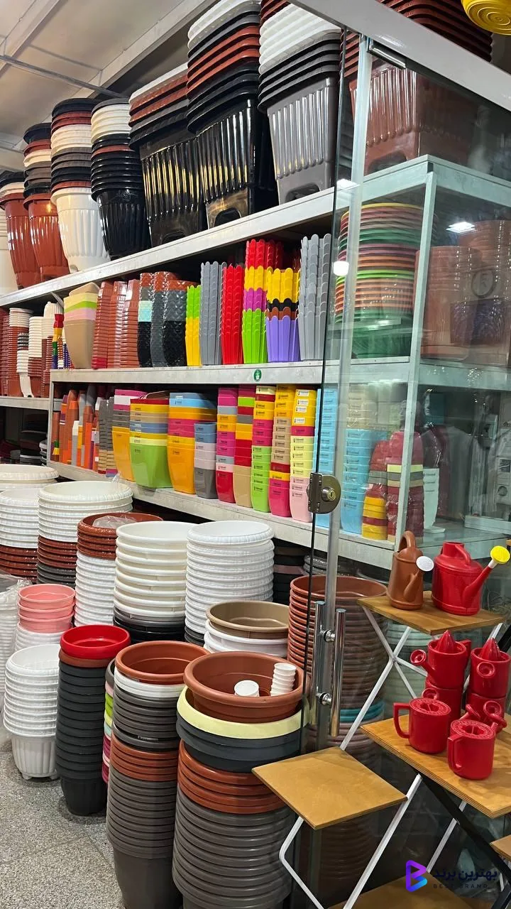 تصویر 2 از گلدانتو شعبه ستاری