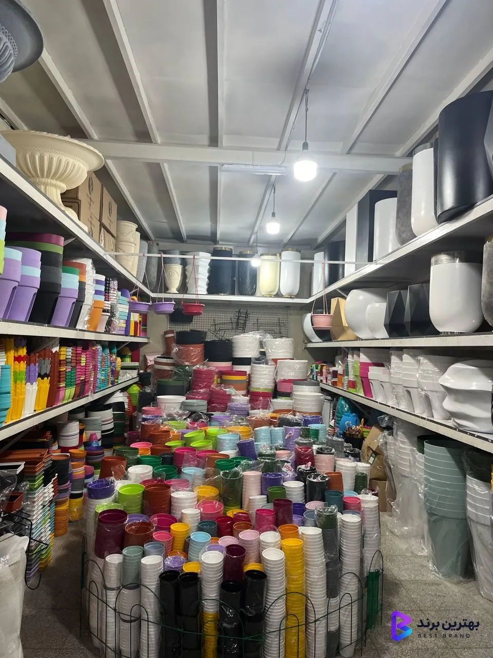 تصویر 3 از گلدانتو شعبه ستاری