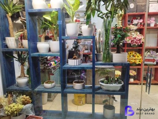 تصویر 2 از گلفروشی آقای سعید